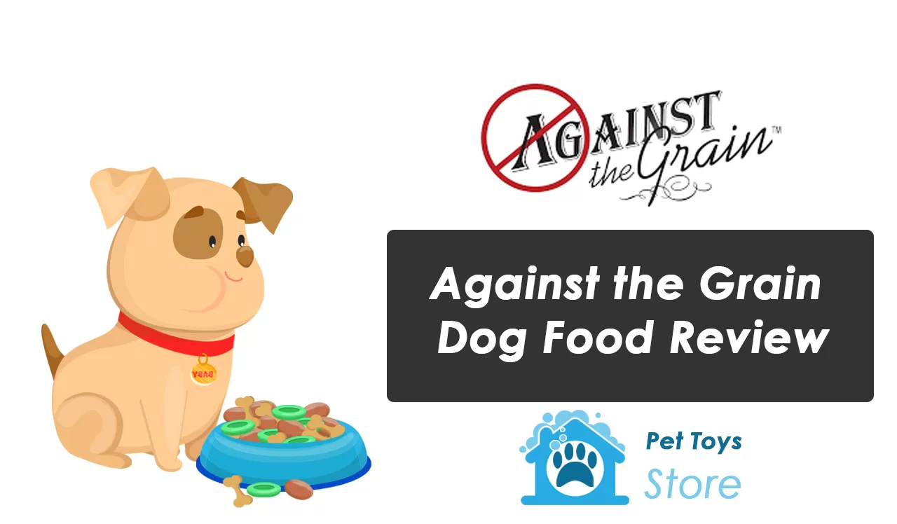 Against the Grain Pet Food Nourishing Your Beloved Companion Against the Grain Pet Food Nourishing Your Beloved Companion