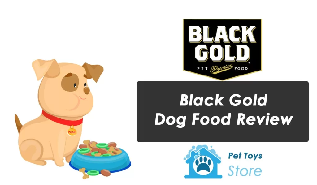 Black Gold Dog Food Review