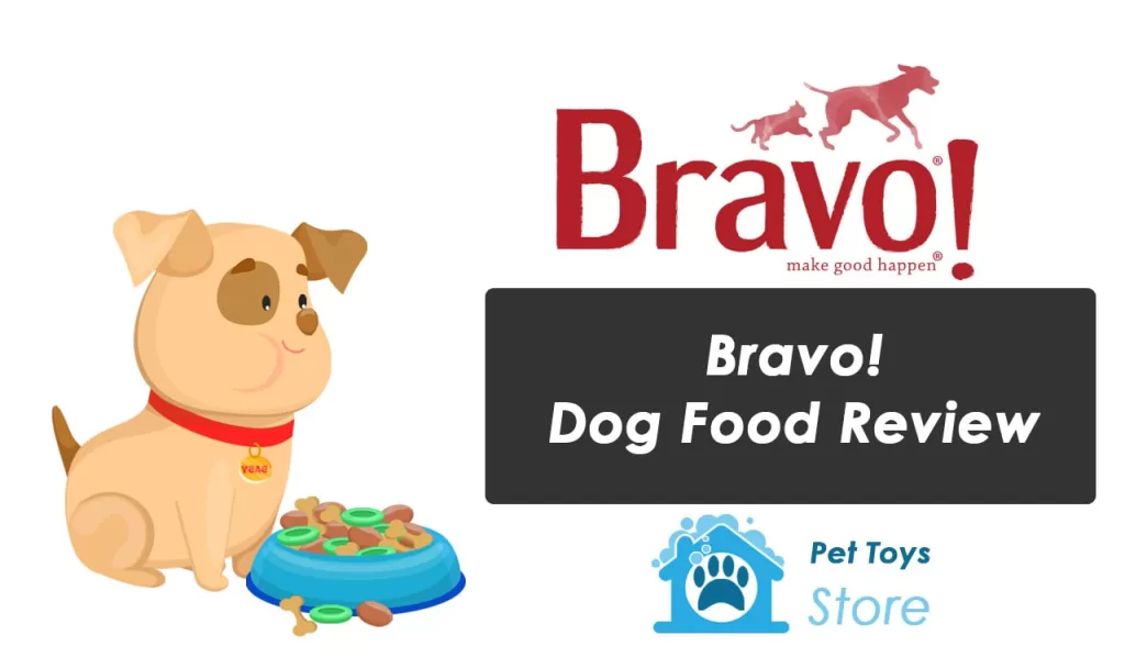 Bravo! Dog Food Review