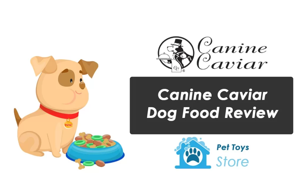 Canine Caviar Dog Food Review
