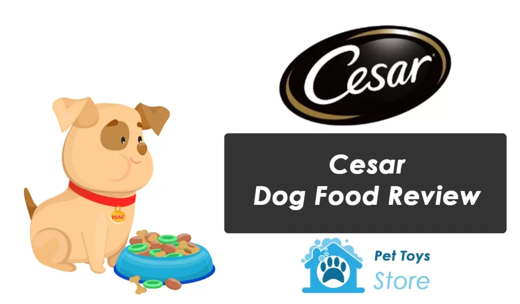 Cesar Dog Food Review