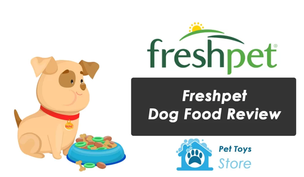 Freshpet Dog Food Review Best Reviews 2024