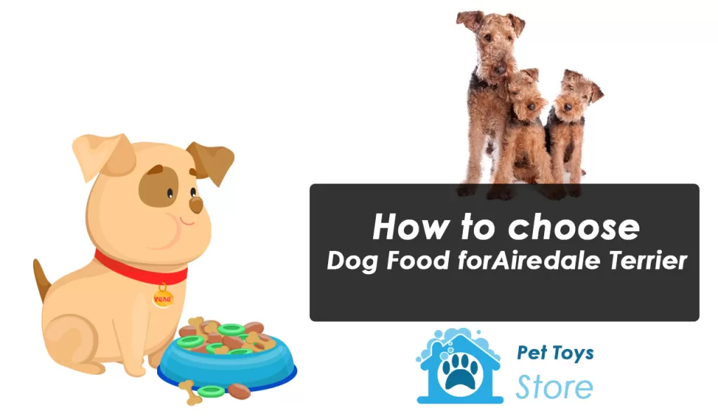 How to Choose Foods for Airedale Terrier