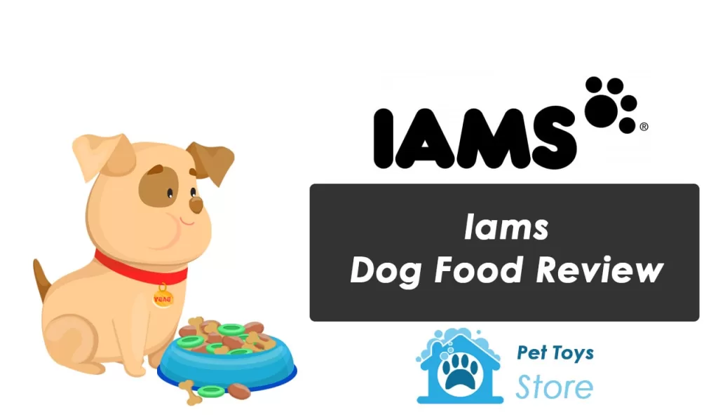 Iams Dog Food Review