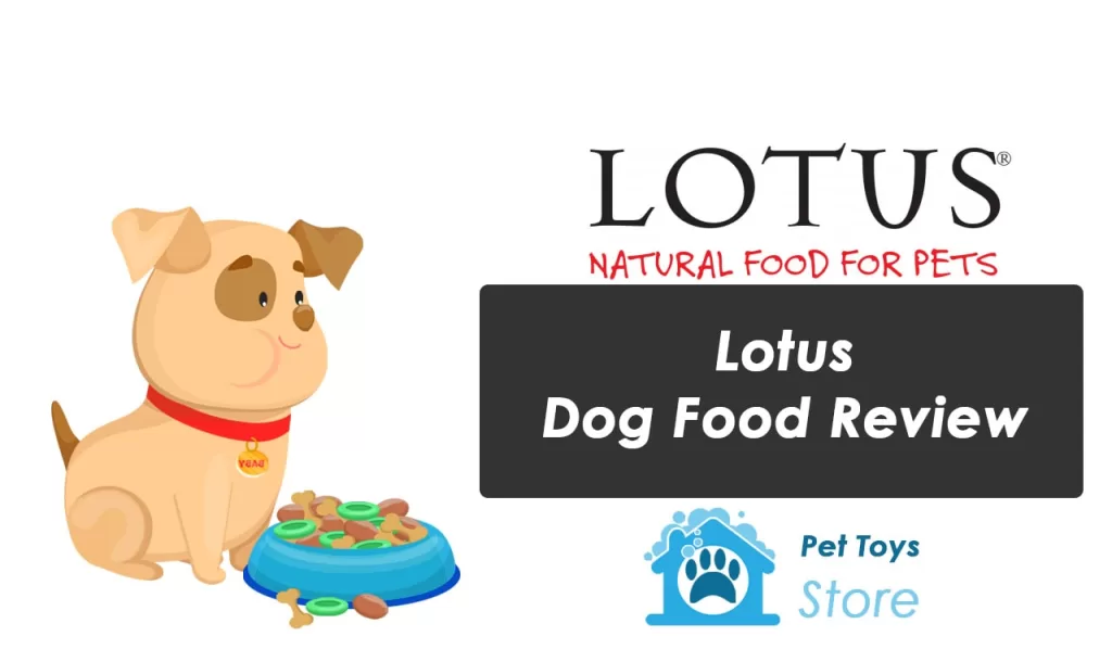 Lotus Dog Food Review