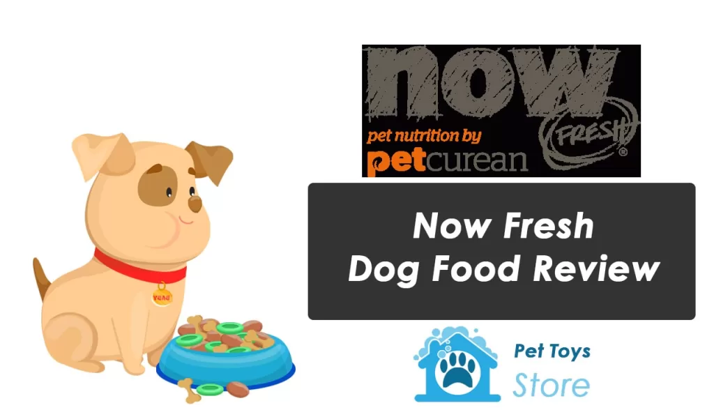 Now Fresh Dog Food Review