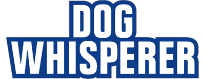 Dog Whisperer Dog Food