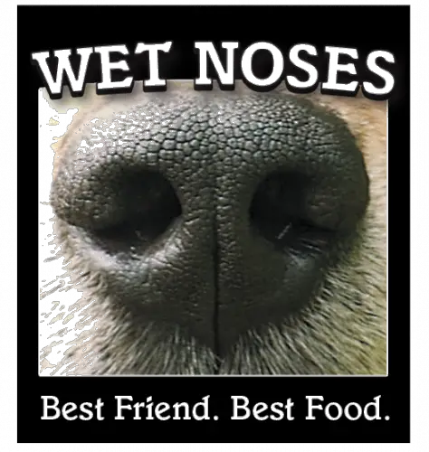 Wet Noses Dog Food