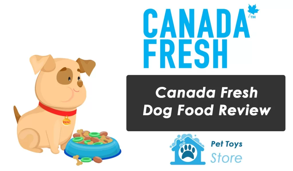 Canada Fresh Dog Food Review