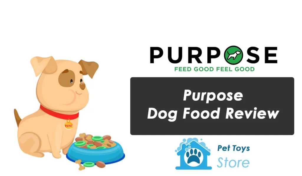 Purpose Dog Food Review