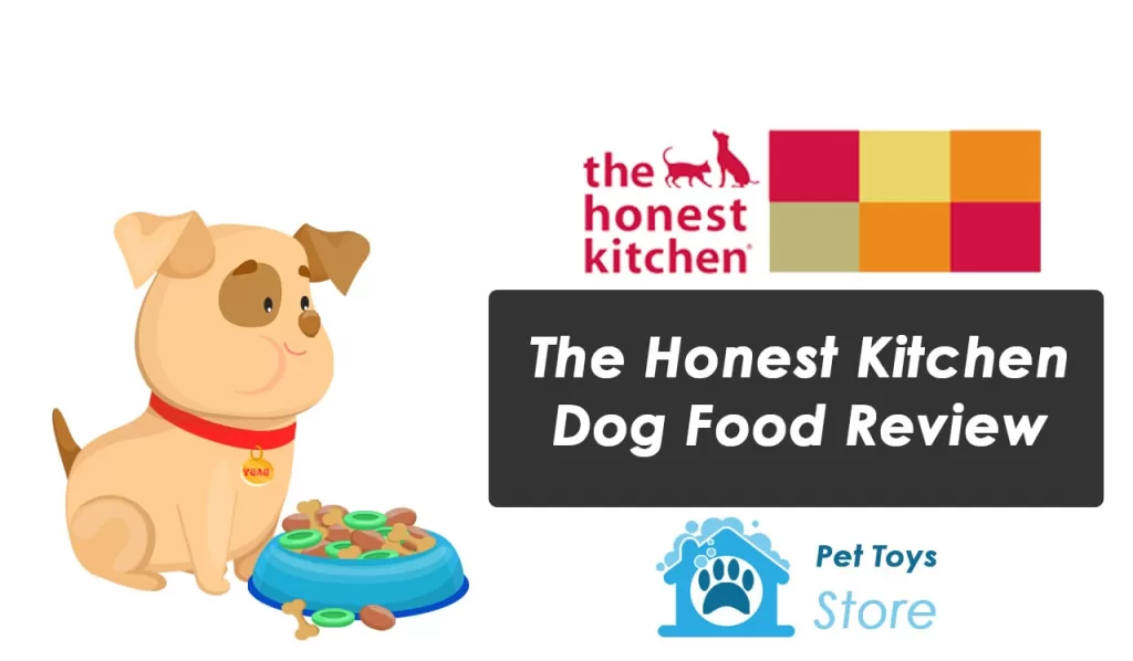 The Honest Kitchen Dog Food Review