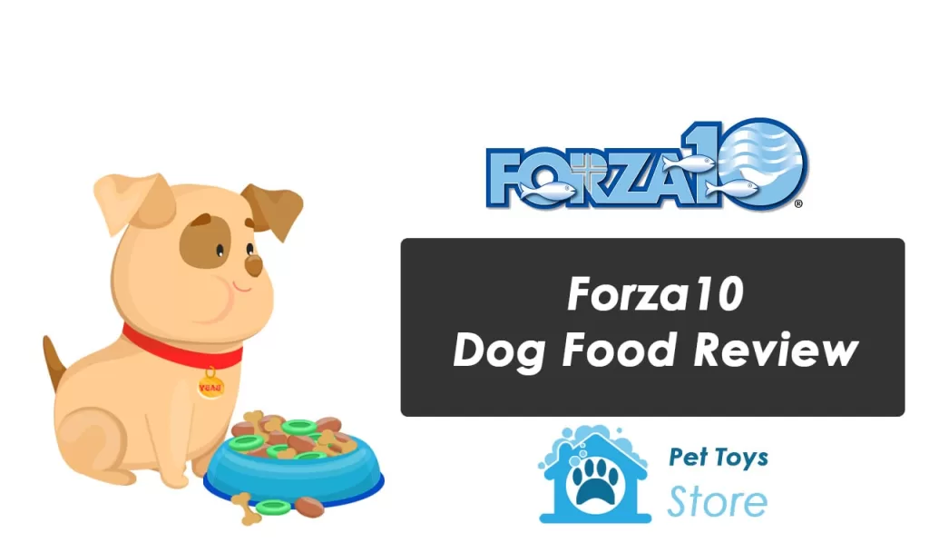 Forza10 Dog Food Review