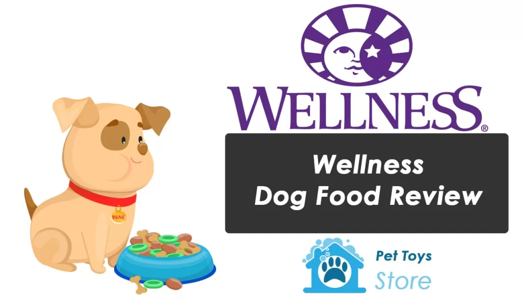 Wellness Dog Food Review
