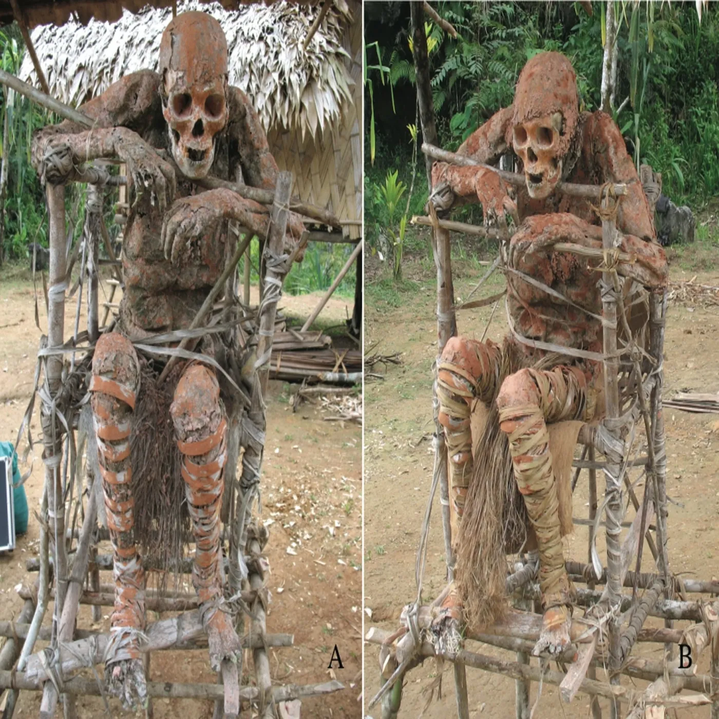 Delving Into The Mysteries Of Papua New Guinea's Smoked Mummies: A ...